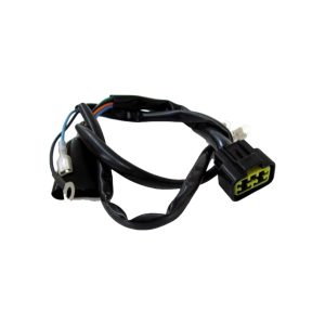 Cablaggi Di Collegamento Gpx Dt 2v