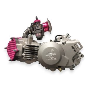 Pignone Pbr Passo 415 Per Motori Yx (4)