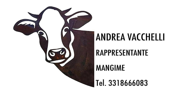 Ottopuntouno Sponsor Vacchelli